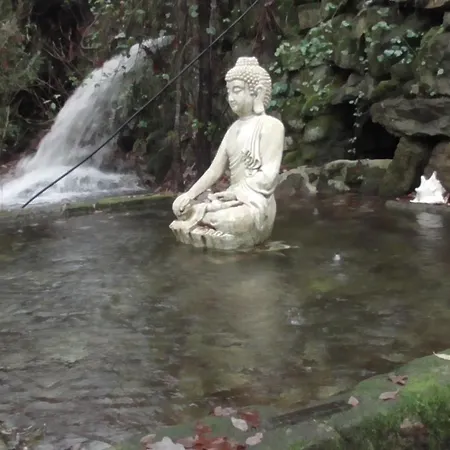 Tienda De Campana En Ecoaldea Vegana Espiral En Plena Naturaleza Con Comida Y Cena Incluida