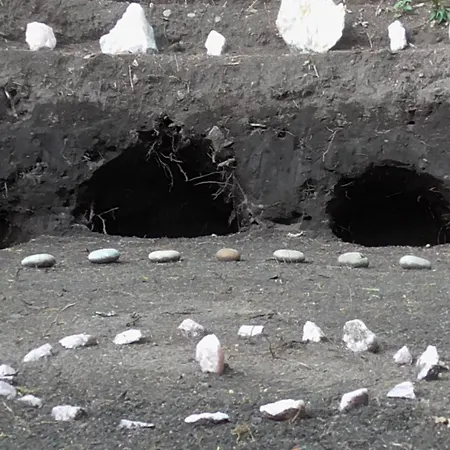 Tente de luxe Tienda De Campana En Ecoaldea Vegana Espiral En Plena Naturaleza Con Comida Y Cena Incluida Passos (Braga)