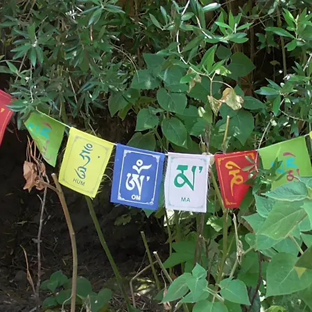 Tente de luxe Tienda De Campana En Ecoaldea Vegana Espiral En Plena Naturaleza Con Comida Y Cena Incluida *