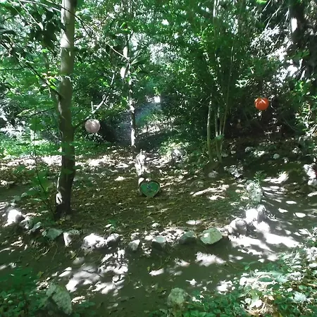 Tente de luxe Tienda De Campana En Ecoaldea Vegana Espiral En Plena Naturaleza Con Comida Y Cena Incluida