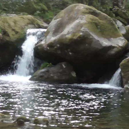 Tente de luxe Tienda De Campana En Ecoaldea Vegana Espiral En Plena Naturaleza Con Comida Y Cena Incluida *