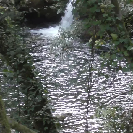 Tienda De Campana En Ecoaldea Vegana Espiral En Plena Naturaleza Con Comida Y Cena Incluida