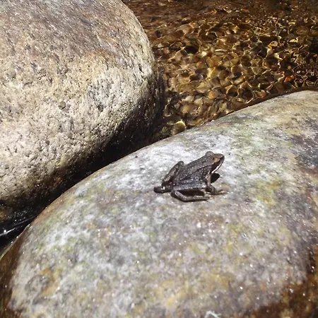Tente de luxe Tienda De Campana En Ecoaldea Vegana Espiral En Plena Naturaleza Con Comida Y Cena Incluida