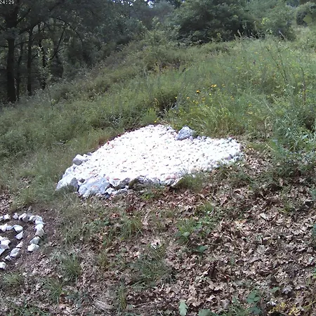 Tente de luxe Tienda De Campana En Ecoaldea Vegana Espiral En Plena Naturaleza Con Comida Y Cena Incluida Passos (Braga)