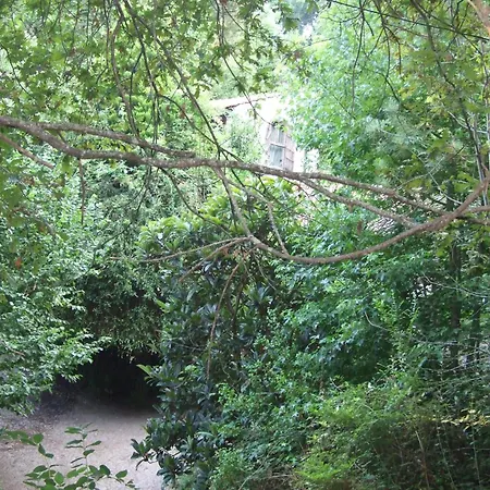 Tente de luxe Tienda De Campana En Ecoaldea Vegana Espiral En Plena Naturaleza Con Comida Y Cena Incluida