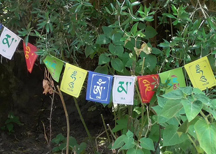 럭셔리텐트 Tienda De Campana En Ecoaldea Vegana Espiral En Plena Naturaleza Con Comida Y Cena Incluida *