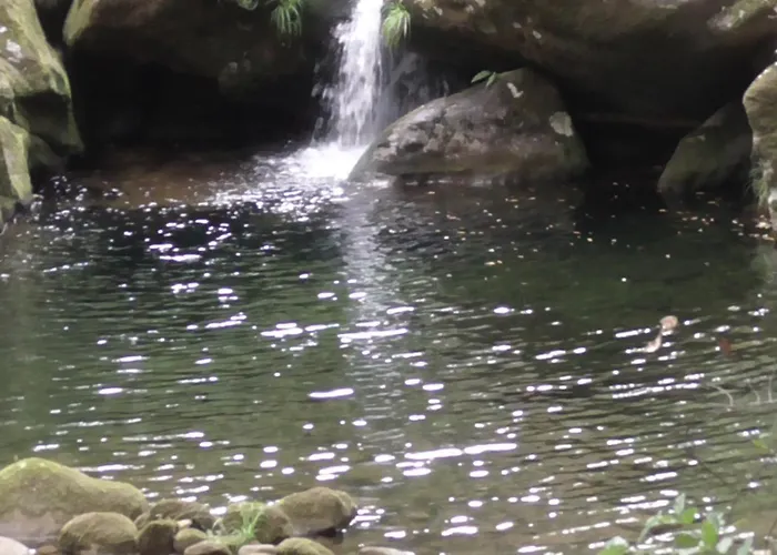 Tienda De Campana En Ecoaldea Vegana Espiral En Plena Naturaleza Con Comida Y Cena Incluida 럭셔리텐트