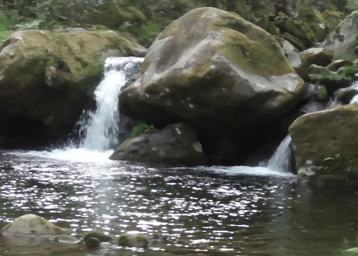 럭셔리텐트 Tienda De Campana En Ecoaldea Vegana Espiral En Plena Naturaleza Con Comida Y Cena Incluida *