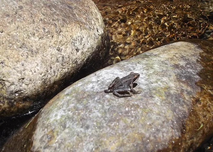 럭셔리텐트 Tienda De Campana En Ecoaldea Vegana Espiral En Plena Naturaleza Con Comida Y Cena Incluida