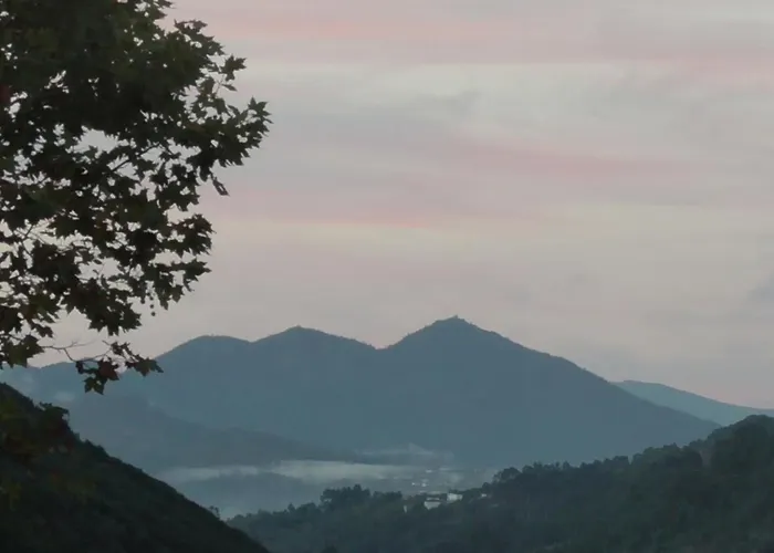 Tienda De Campana En Ecoaldea Vegana Espiral En Plena Naturaleza Con Comida Y Cena Incluida Роскошный шатер *