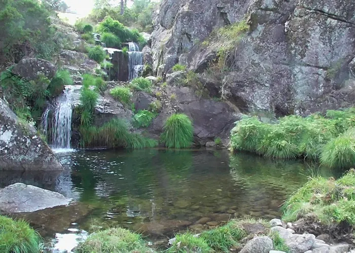 Tienda De Campana En Ecoaldea Vegana Espiral En Plena Naturaleza Con Comida Y Cena Incluida Passos (Braga)