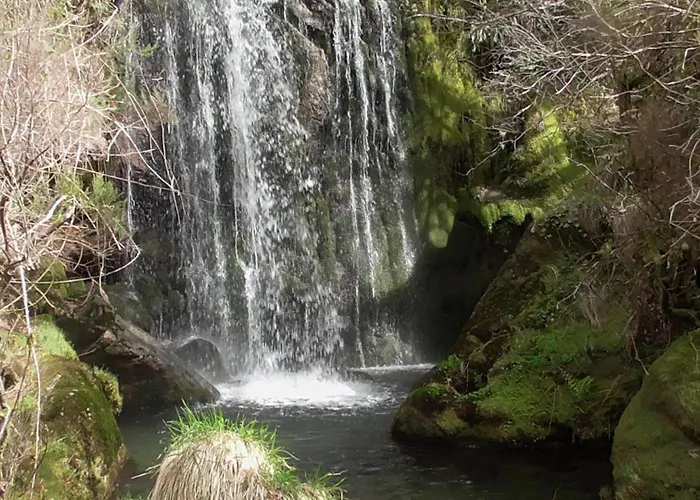 Tienda De Campana En Ecoaldea Vegana Espiral En Plena Naturaleza Con Comida Y Cena Incluida Роскошный шатер *
