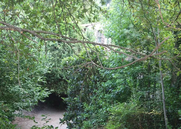 럭셔리텐트 Tienda De Campana En Ecoaldea Vegana Espiral En Plena Naturaleza Con Comida Y Cena Incluida